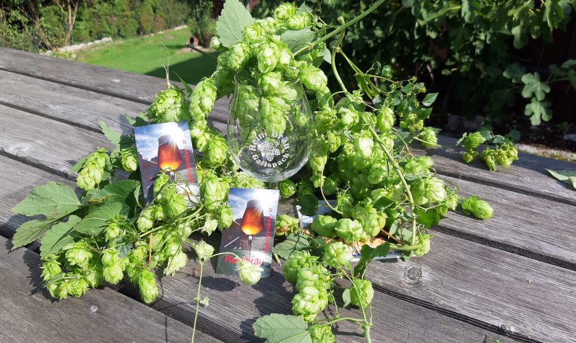 Hopfen und Malz Reini erhalt´s