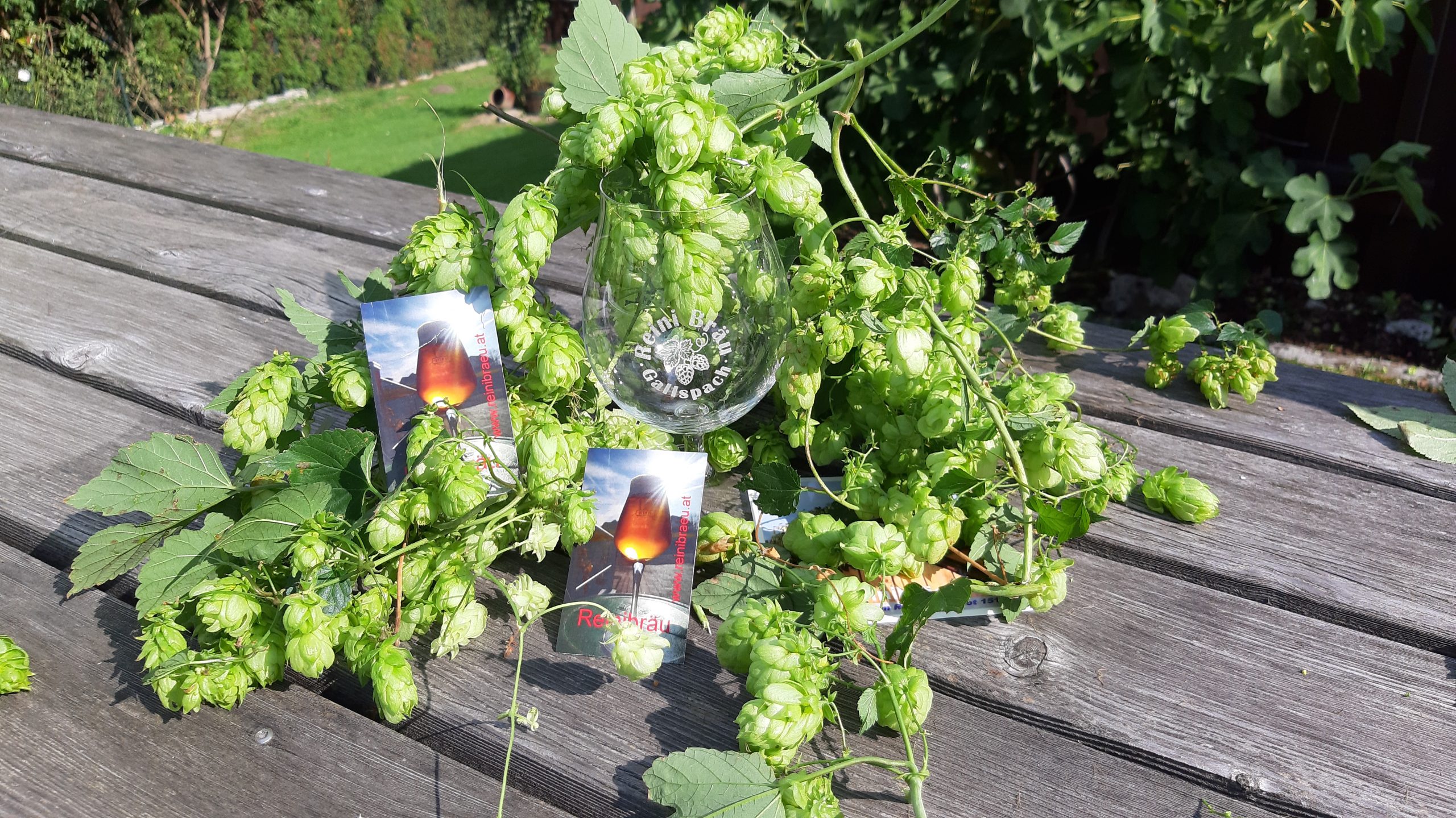 Hopfen und Malz Reini erhalt´s