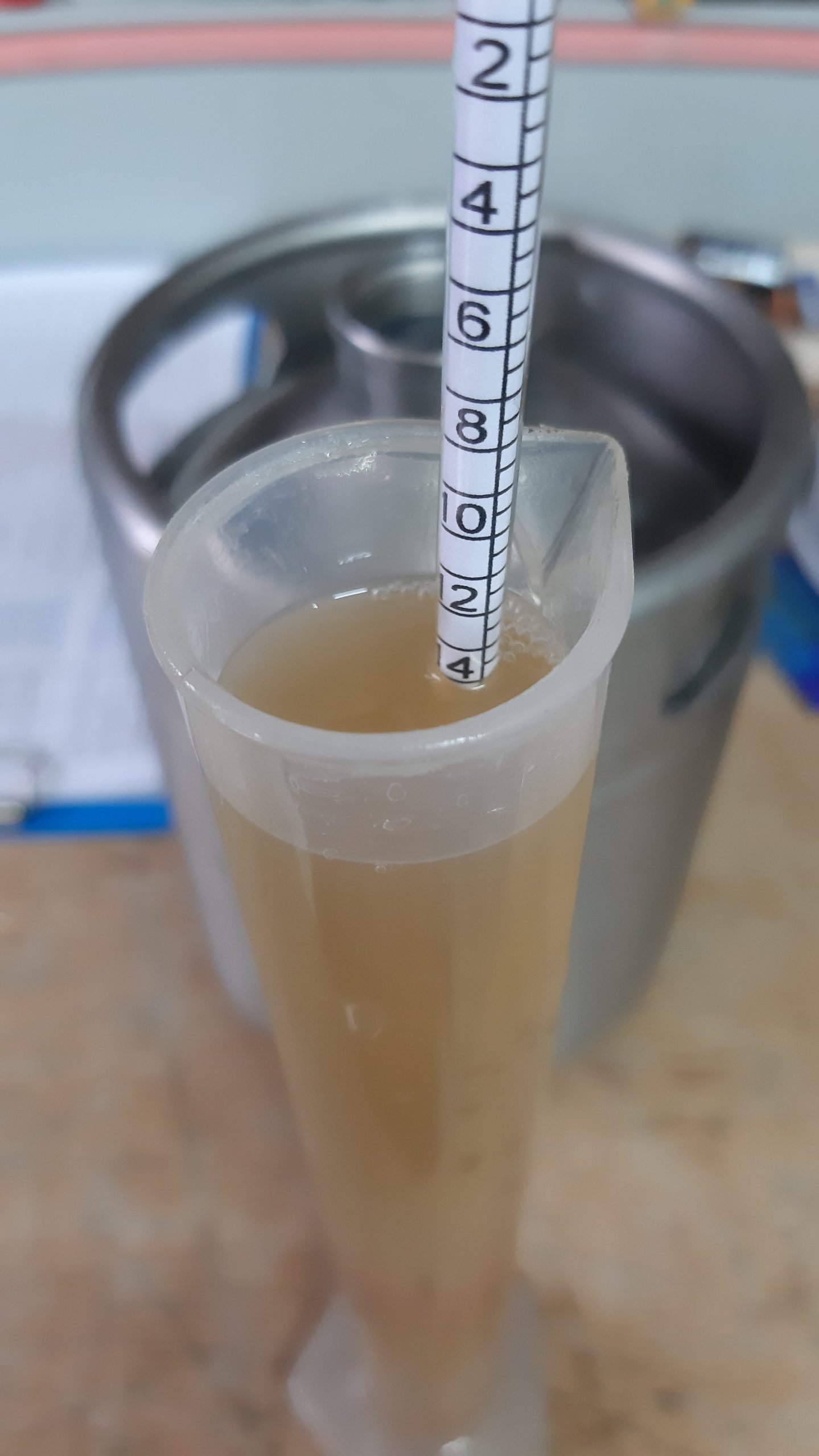 Sehr gute Stammwürze für das Pils ,das wir im Frühjahr verkosten können