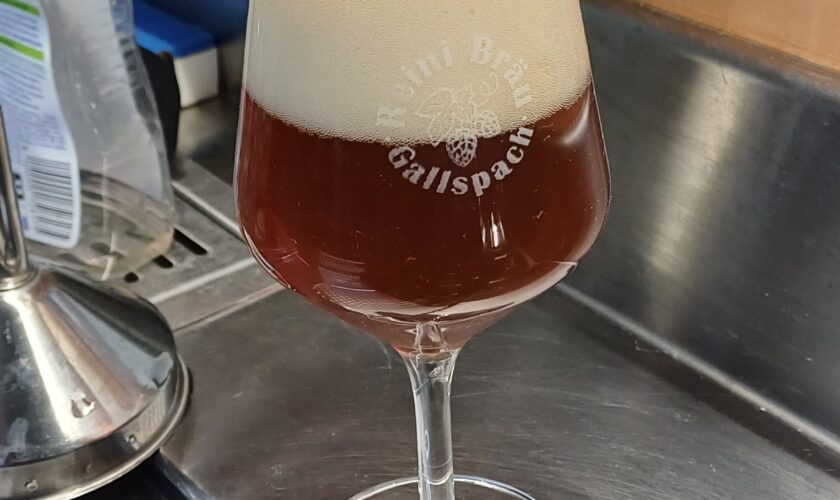 Reinibräu 2025